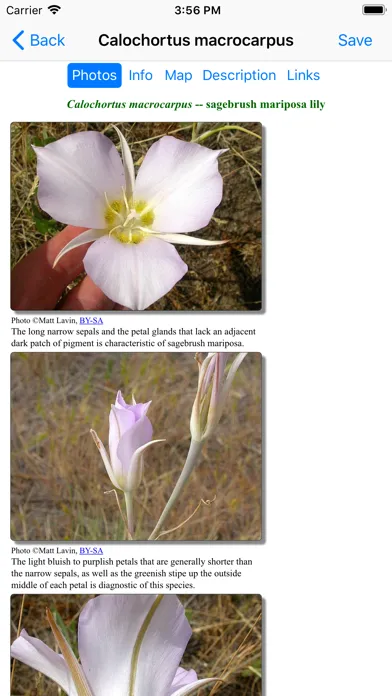 Idaho Wildflower Search應用截圖