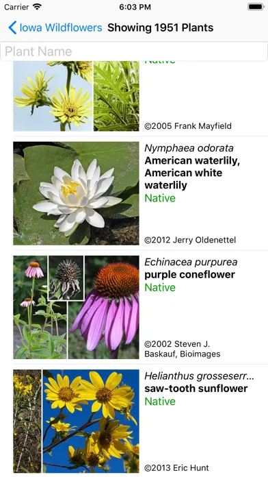 Zrzuty ekranu Iowa Wildflowers