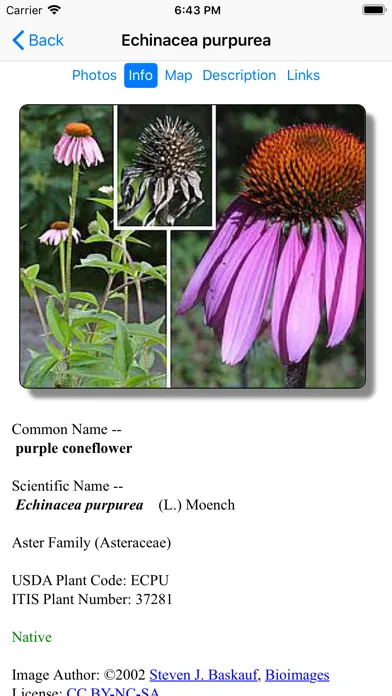 Zrzuty ekranu Iowa Wildflowers
