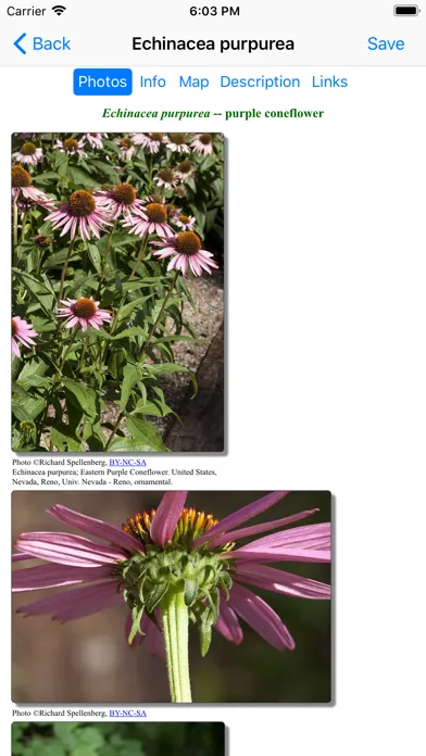 Zrzuty ekranu Iowa Wildflowers