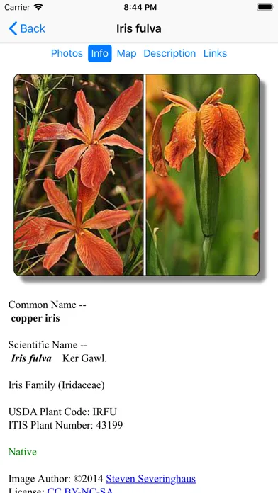Louisiana Wildflowers Screenshots