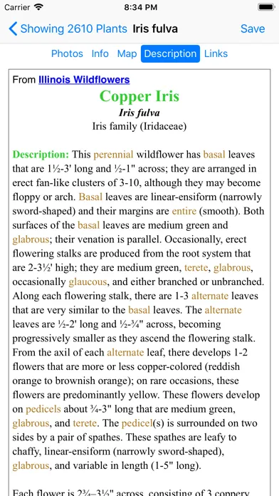 Louisiana Wildflowers Screenshots