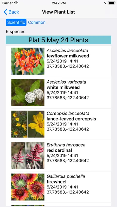Louisiana Wildflowers Screenshots