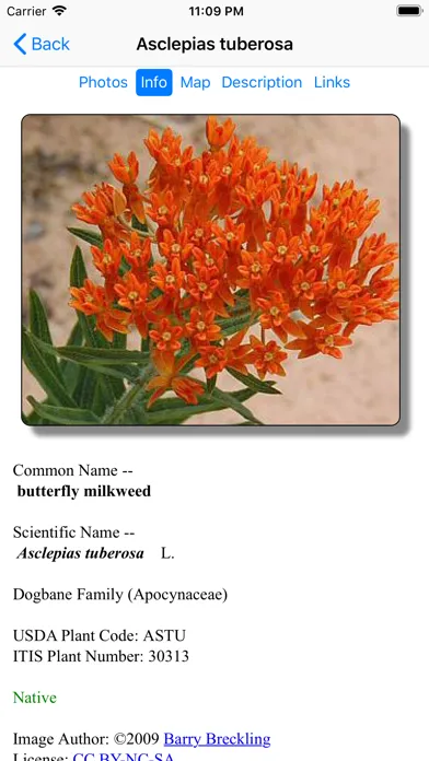 Ảnh chụp màn hình của Mississippi Wildflowers