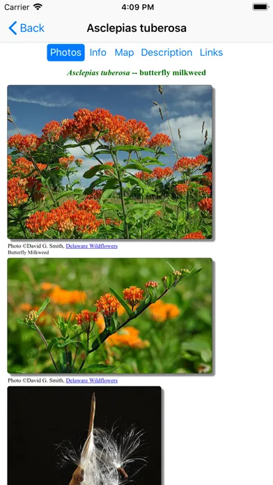Ảnh chụp màn hình của Mississippi Wildflowers