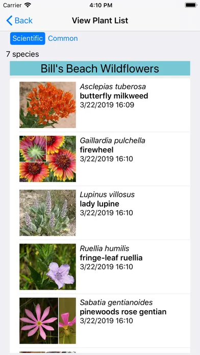 Ảnh chụp màn hình của Mississippi Wildflowers