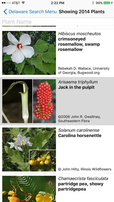 Скриншоты North Dakota Wildflowers