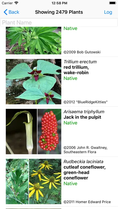 Ohio Wildflowers應用截圖