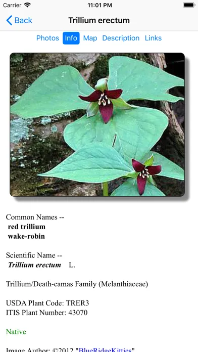 Ohio Wildflowers應用截圖