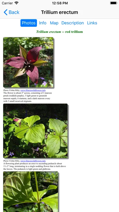 Ohio Wildflowers應用截圖
