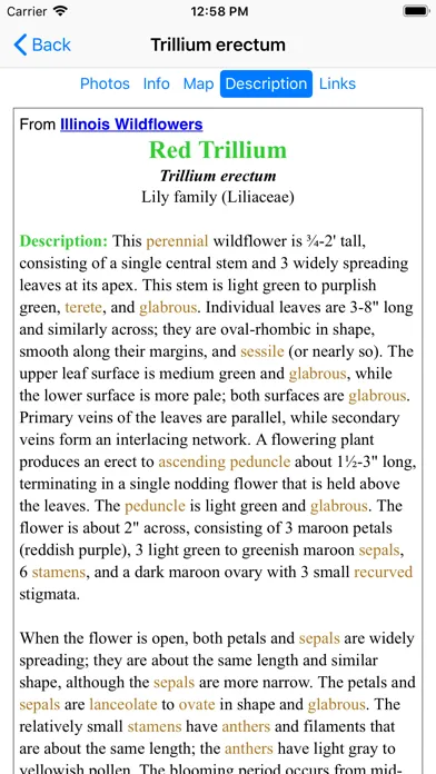 Ohio Wildflowers應用截圖