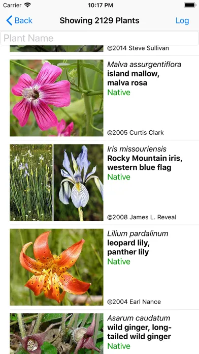 SF Bay Area Wildflowers应用截图