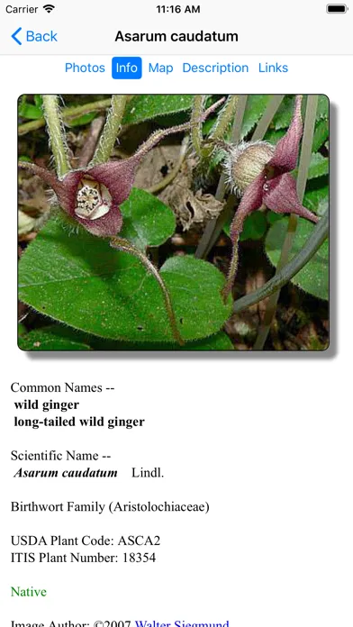 SF Bay Area Wildflowers应用截图