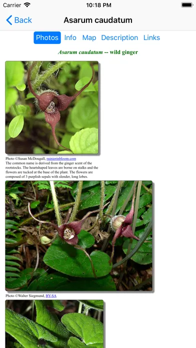 SF Bay Area Wildflowers应用截图