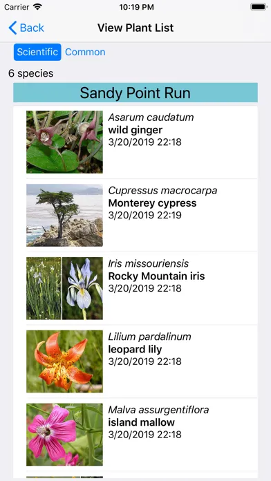 SF Bay Area Wildflowers应用截图