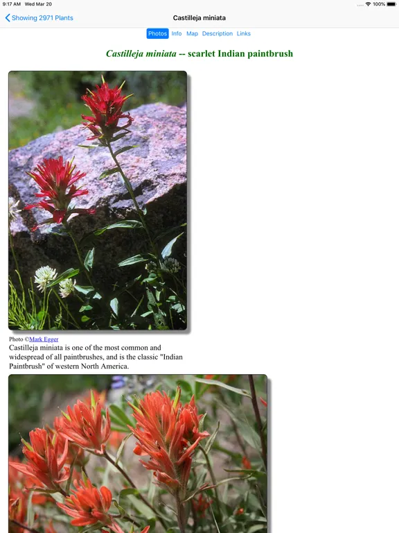 Ảnh chụp màn hình của Utah Wildflowers iPad 