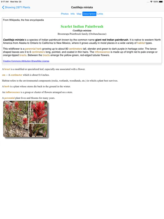 Ảnh chụp màn hình của Utah Wildflowers iPad 