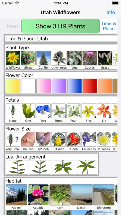 Ảnh chụp màn hình của Utah Wildflowers