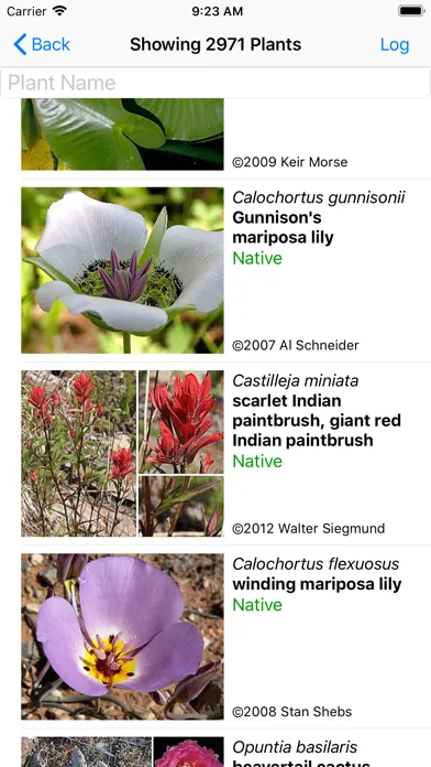Ảnh chụp màn hình của Utah Wildflowers