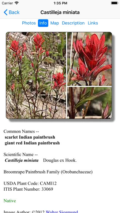 Ảnh chụp màn hình của Utah Wildflowers