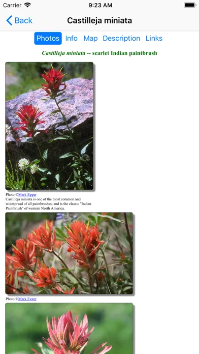 Ảnh chụp màn hình của Utah Wildflowers