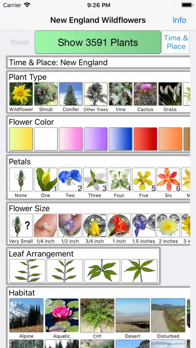New England Wildflowers スクリーンショット