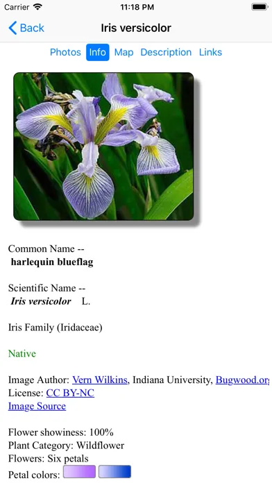 New England Wildflowers スクリーンショット
