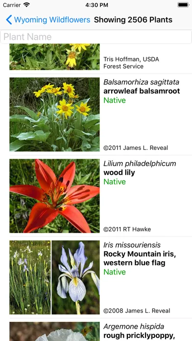Wyoming Wildflowers应用截图