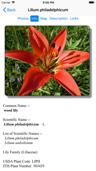 Wyoming Wildflowers应用截图