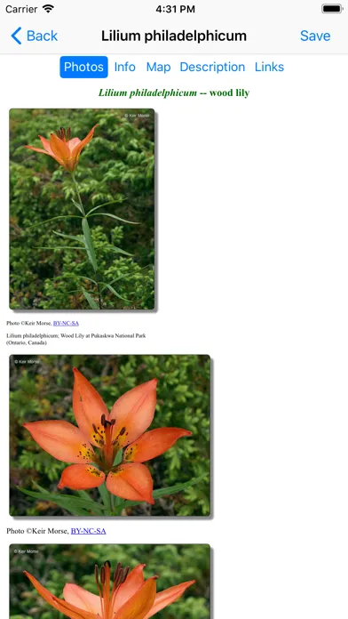 Wyoming Wildflowers应用截图
