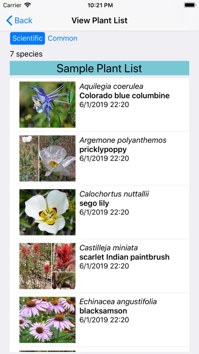 Wyoming Wildflowers应用截图