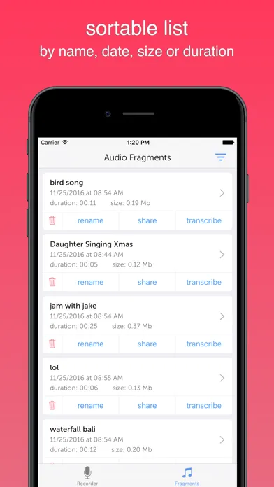 Instant Rec: Audio Recorder & Voice Recording スクリーンショット