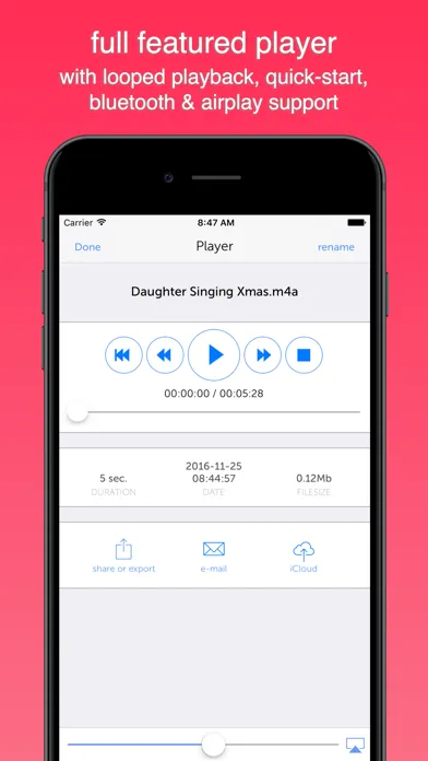 Instant Rec Lite: Audio Recorder & Voice Recording 스크린샷