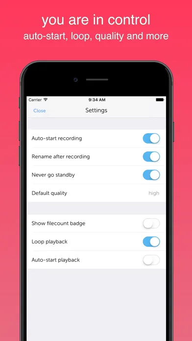 Instant Rec Lite: Audio Recorder & Voice Recording 스크린샷