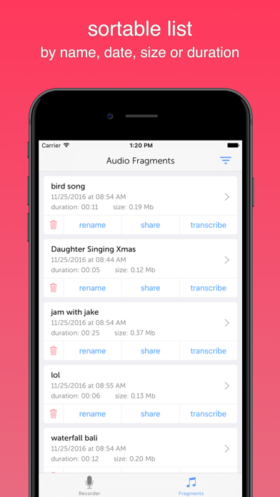 Instant Rec Lite: Audio Recorder & Voice Recording स्क्रीनशॉट