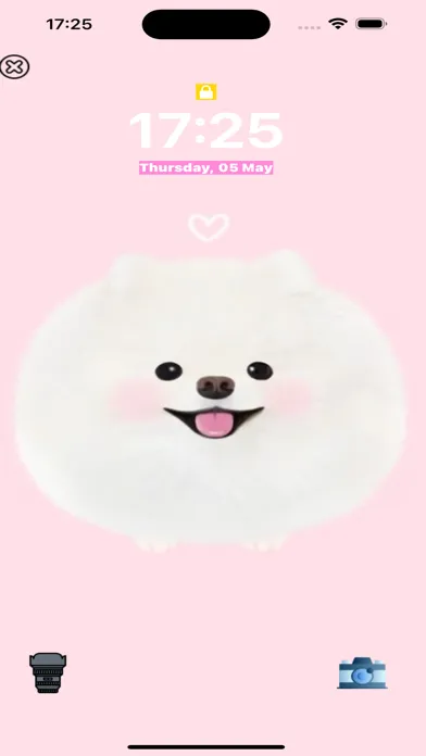 Cute Pomeranian dog wallpaper Screenshots
