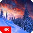 Winter Wallpapers 4K