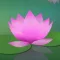 Meditation Without Borders