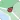 Topo GPS