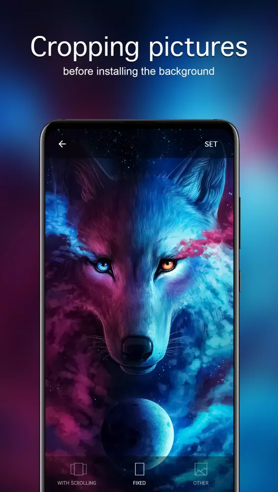 Wolf Wallpapers 4K应用截图