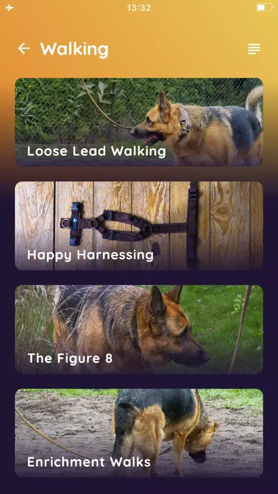 Doghouse - The home for dogs应用截图