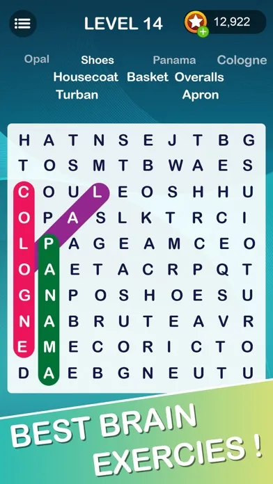 Word Search Smart سکرین شاٹس