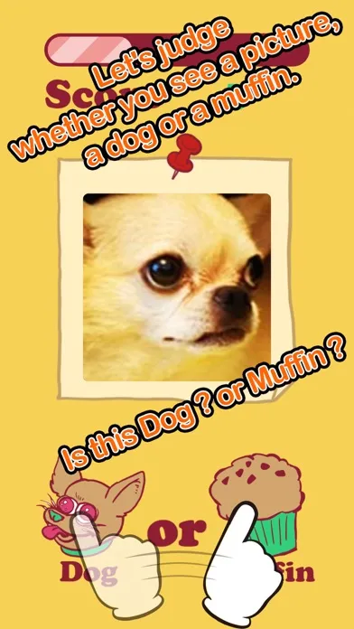 Ảnh chụp màn hình của Dog Or Muffin - Cute & Strange