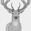 LineArt：Line drawing extract
