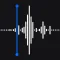 Voice Recorder - AI Transcribe