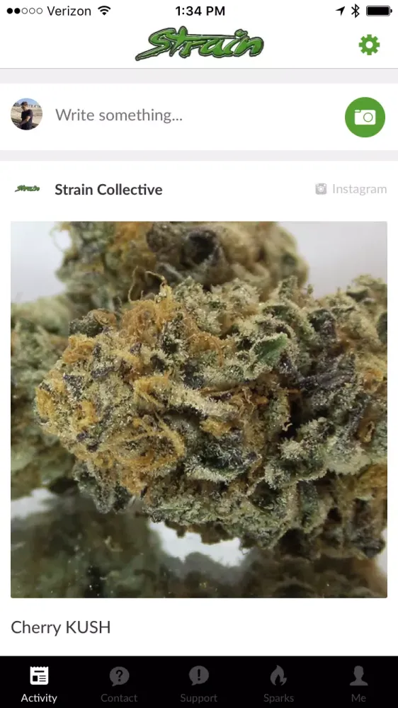 ภาพหน้าจอของ Strain Balboa Caregivers