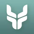 OX Consulting