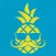 Señor Piña