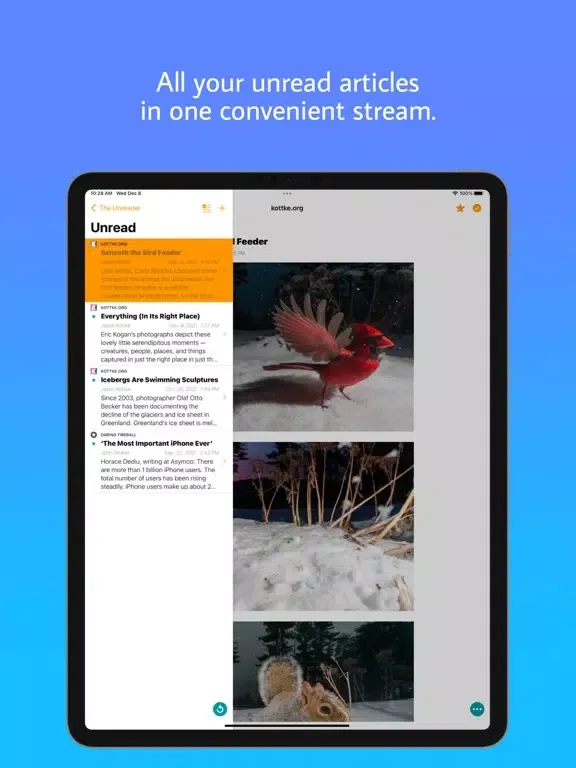 The Unreader: a Feedbin Client iPad 应用截图