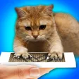 Claw Sharpener Cat Prank Claw Sharpener Cat Prank